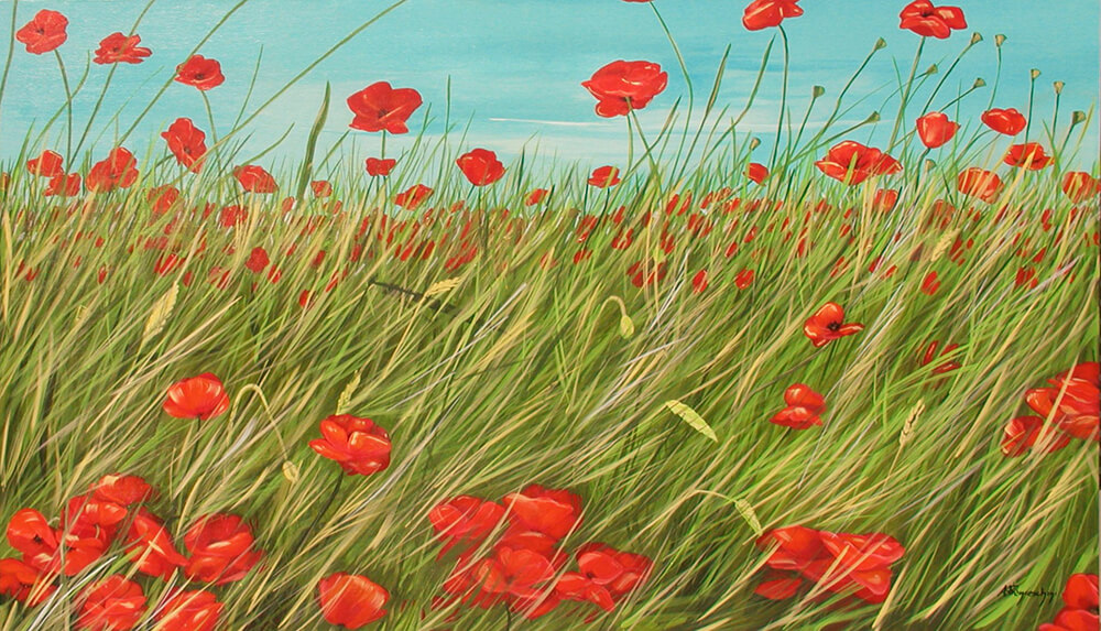 Campo di papaveri