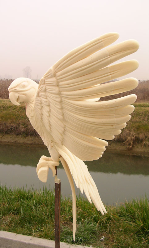 girasoli 083