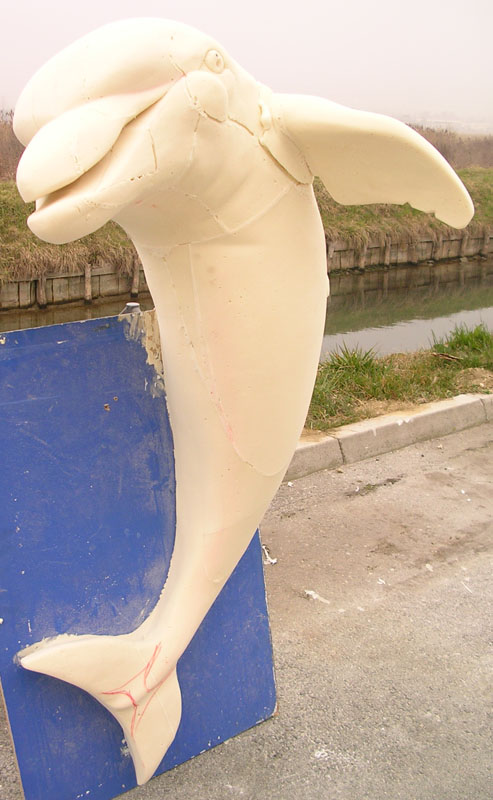 girasoli 089